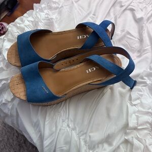Coach Blue Wedge Sandals